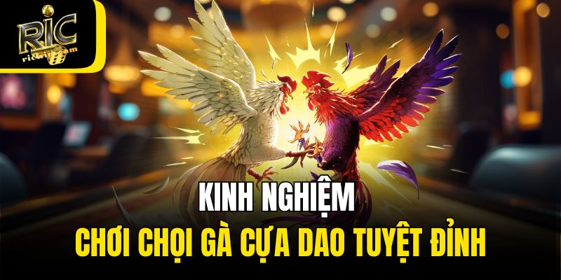 Kinh nghiệm chơi chọi gà cựa dao tuyệt đỉnh