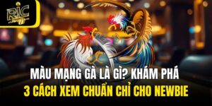 Màu Mạng Gà Là Gì? Khám Phá 3 Cách Xem Chuẩn Chỉ Cho Newbie