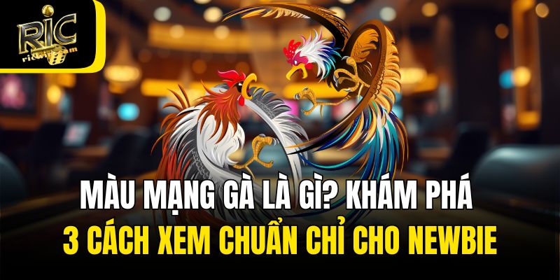 Màu Mạng Gà Là Gì? Khám Phá 3 Cách Xem Chuẩn Chỉ Cho Newbie