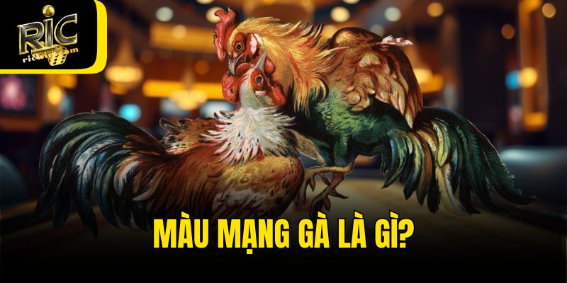 Màu mạng gà là gì?