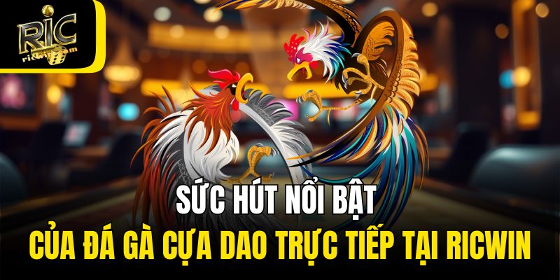 Sức hút nổi bật của đá gà cựa dao trực tiếp tại Ricwin